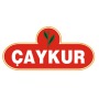 Çaykur